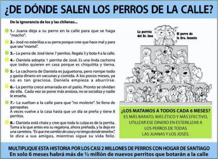 Por esto hay que ESTERILIZAR